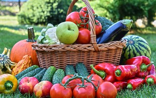 Zdravilnost sadja in zelenjave