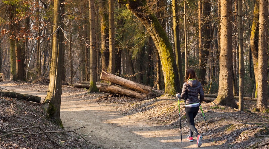 Lahko hoja šteje kot vadba? (foto: Profimedia)