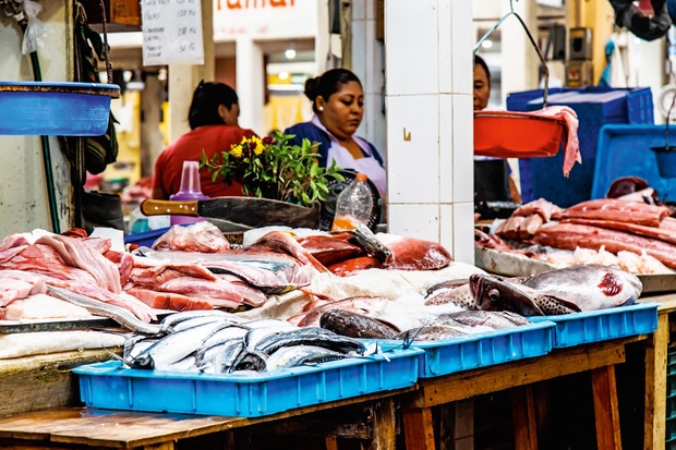 LA NUEVA VIGA, CIUDADA DE MEXICO, MEHIKA Druga največja ribja tržnica na svetu je v Mehiki, prodajo 1500 ton morske …