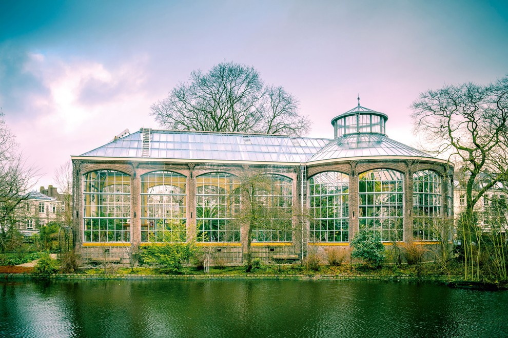 HORTUS BOTANICUS AMSTERDAM, NIZOZEMSKA Amsterdamski botanični vrt so odprli leta 1638 kot vrt z zelišči, ki se uporabljajo v medicini …