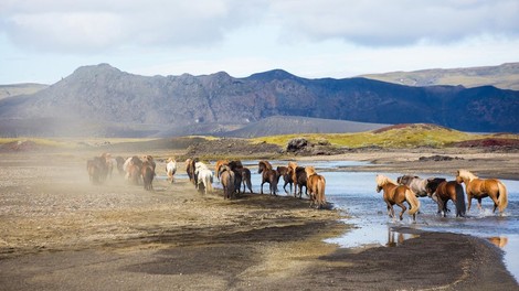 Video: Neopisljiva lepota Islandije