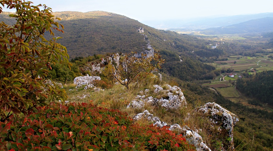 Ideja za izlet: Veli Badin — jesensko zardela ušesa Istre (foto: Nives Cvikl)