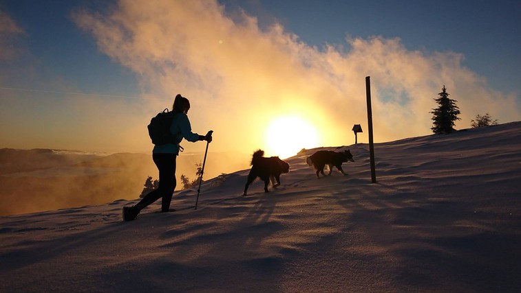 Ideja za izlet: Sončni vzhod na Uršlji gori (foto: Nejc Juvan)
