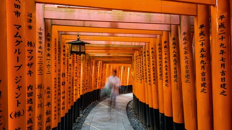 Ikigai: japonska skrivnost dolgega življenja