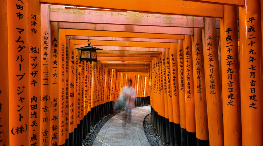 Ikigai: japonska skrivnost dolgega življenja (foto: Shutterstock)