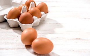 Jajca – priljubljena hrana ljudi