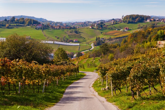Ideja za izlet: Po Sromeljski pešpoti vina in sonca