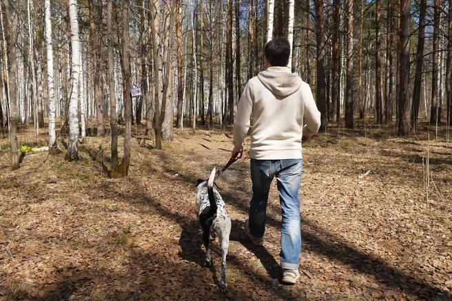 Vadbe, ki z gotovostjo prinesejo dobre rezultate