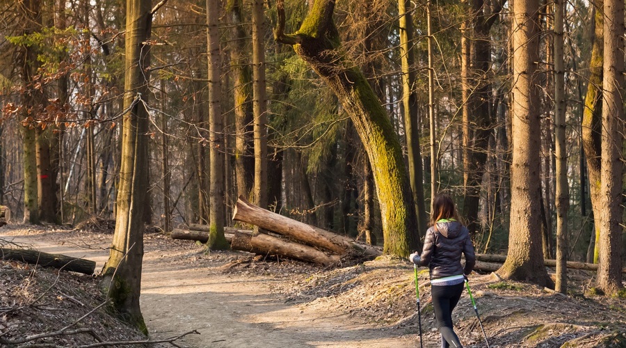 Česa ne smete pozabiti, ko vadbo prestavite v naravo (foto: profimedia)