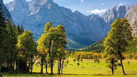 6 planinskih idej za izlete v Avstriji