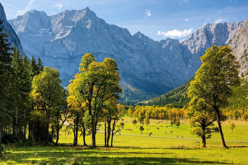 6 planinskih idej za izlete v Avstriji (foto: profimedia)