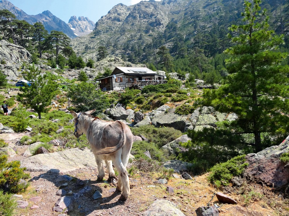 GR20 Korzika, Francija (10–16 dni) GR20 je ena od najboljših evropskih pohodnih poti. Dolga je kar 180 kilometrov in vodi …