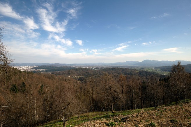 Ideja za izlet: Na Toško čelo