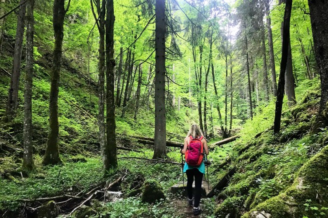 Ideja za izlet: Pokljuška soteska