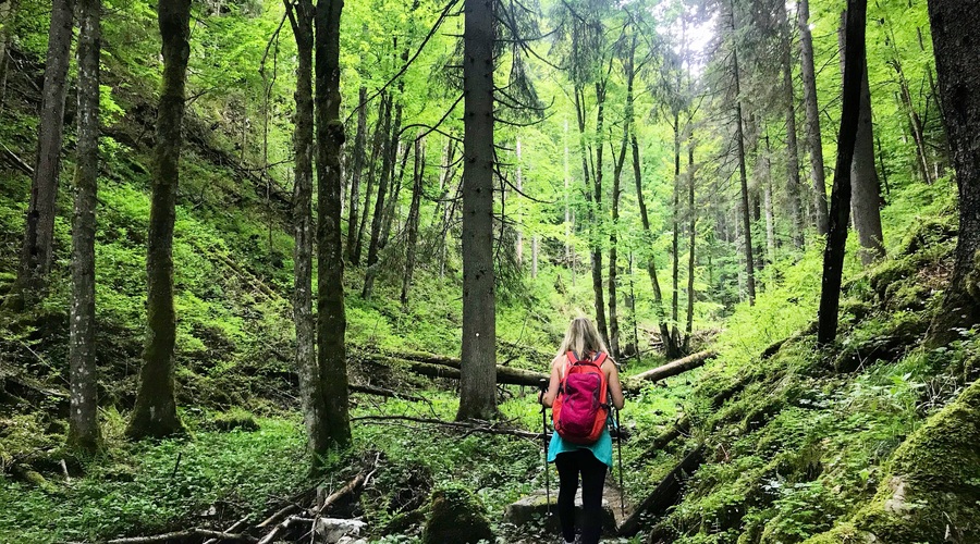 Ideja za izlet: Pokljuška soteska (foto: Ana Vehovar)