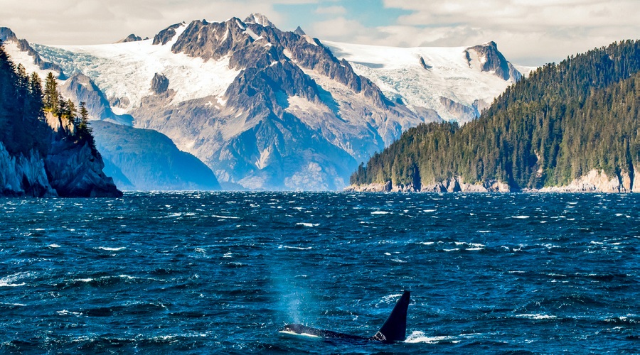 Najlepši fjordi - oglejte si jih! (foto: shutterstock)