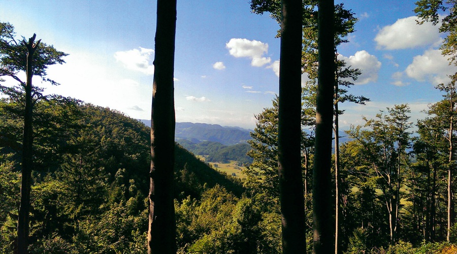 Ideja za izlet: Na Špik (foto: Osebni arhiv)