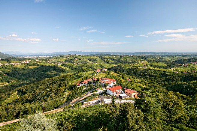 Ideje za izlete: Čez Pohorje, na Martnico, Črno prst in v Brda češnje zobat