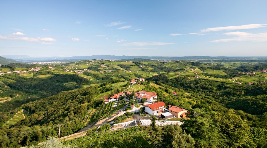 Ideje za izlete: Čez Pohorje, na Martnico, Črno prst in v Brda češnje zobat (foto: Shutterstock)