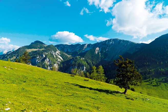 Ideja za izlet: Kriška gora