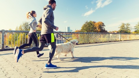 4 razlogi, zakaj so psi odlični prijatelji za vadbo