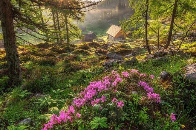 Čudovite fotografije: Planina Blato in Dvojno jezero