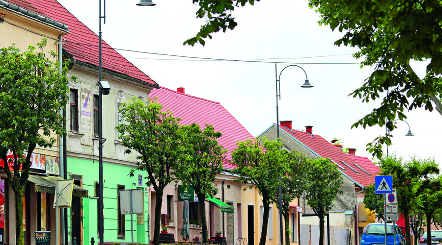 Multikulturna Lendava, mesto bograča, kulture … (foto: Goran Antley)