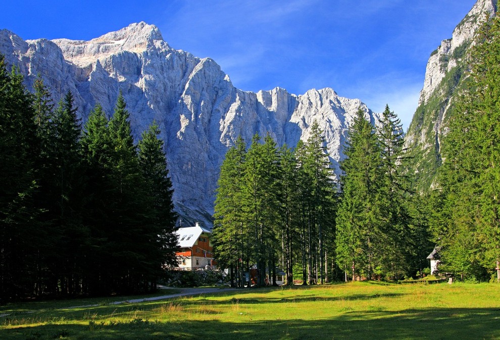 Vso bogastvo, ki ga dosežem, je iz narave. Narava je moj vir inspiracije. - Calude Monet Foto: Dolina Vrata