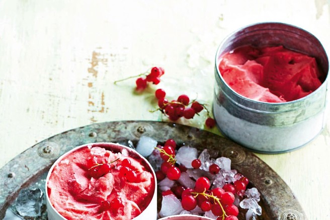 Ribezov sorbet