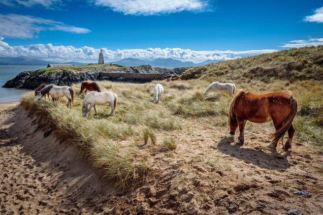 FOTO: Anglesey - valižanski biser, ki ponuja veliko lepega in zanimivega