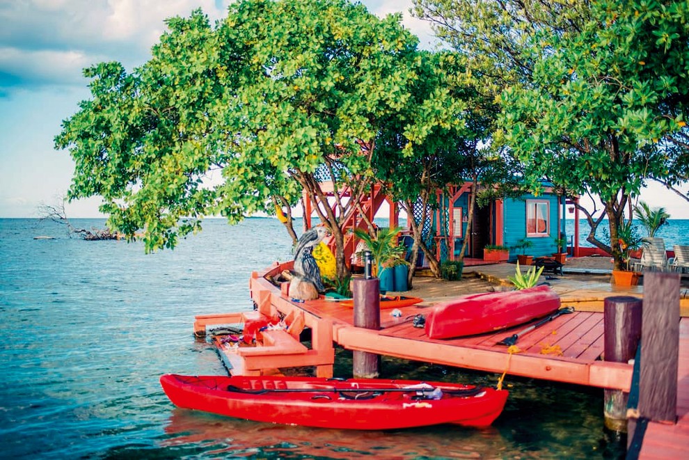 Belize: otok Bird Na majhnem otočku Bird, ki je znotraj lepega koralnega grebena, le 20 minut od vasi Placencia, lahko …