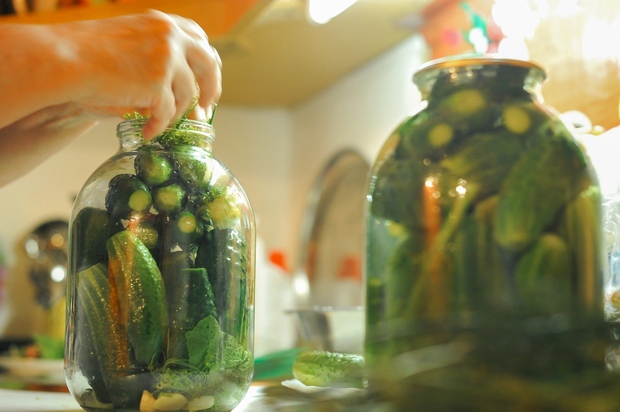 KUMARICE Kisel okus je tisto, zaradi česar kumarice lahko predstavljajo nevarnost za zobno sklenino. Redno uživanje kisa ali kislih kumaric …