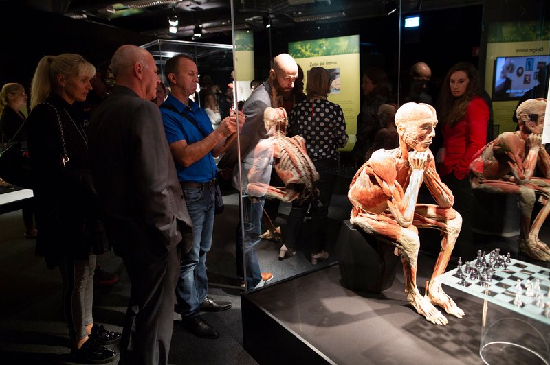V Ljubljani odprli svetovno razstavo Body Worlds Vital - razstavo pravih človeških teles (foto: Miran Juršič)