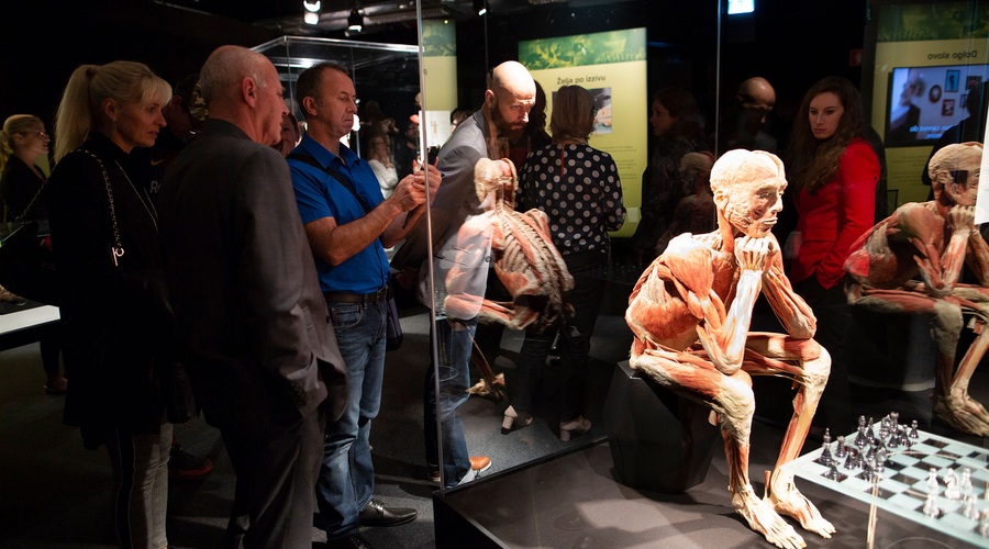 V Ljubljani odprli svetovno razstavo Body Worlds Vital - razstavo pravih človeških teles (foto: Miran Juršič)