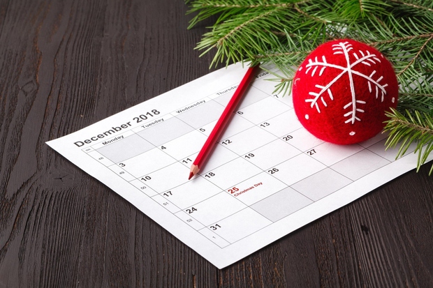 Načrtujte Že v začetku decembra v roke vzemite koledar in si nanj zapišite vse dogodke, ki se jih morate obvezno …