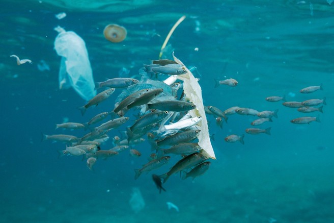 Zakaj so plastične vrečke škodljive za vaše zdravje