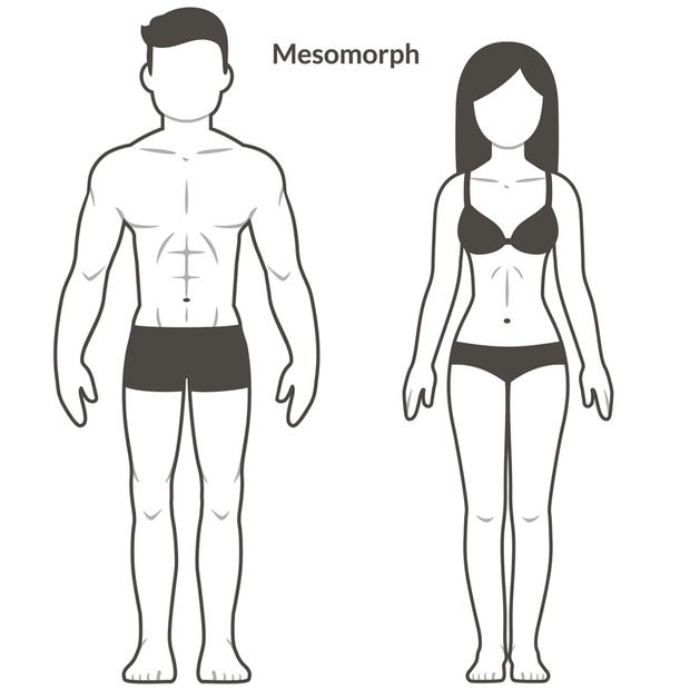 TELESNI TIP: MEZOMORF KRATEK OPIS TELESNEGA TIPA: hitro pridobite mišice (svoj telesni tip bi lahko opisali tudi kot »športen«) in …