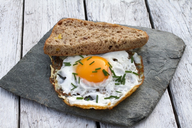 Naj zajtrk vsebuje veliko beljakovin kot so jajca in grški jogurt, saj boste prej siti in boste zato manj pojedli. …