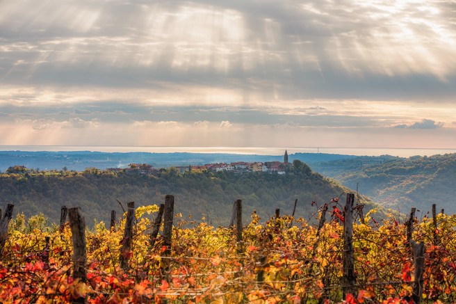 Ideja za izlet: Padna - kraj za pohodnike, kolesarje, ljubitelje narave in istrske kuhinje