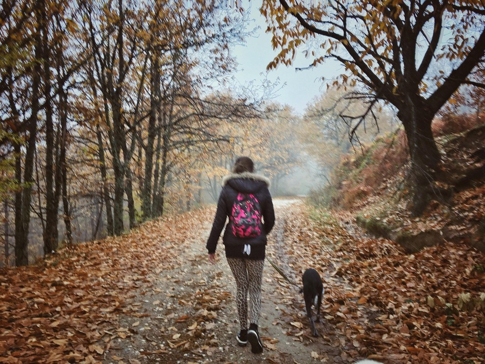 Kaj naj počnem ob prostih dnevih? Bi morali na prost dan izvajati lažje aktivnosti ali popolnoma opustiti gibanje in počivati? …