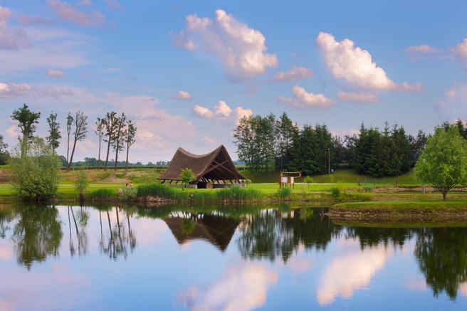 Kje organizirati piknik? Poiskali smo TOP ideje in piknik prostore