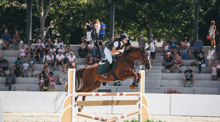 V Lipici državno prvenstvo v preskakovanju ovir (foto: Kobilarna Lipica)