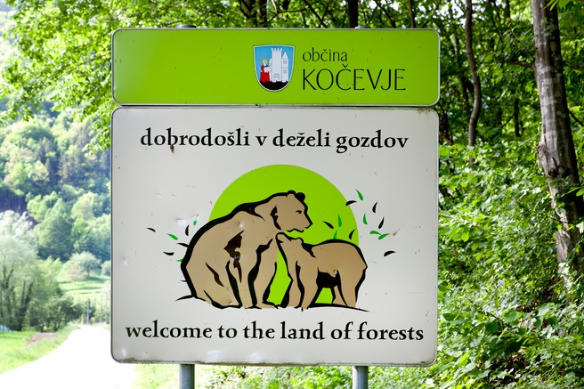 Si upate kolesarit po »Medvedjem Črevu«