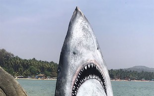 Umetnik  Jimmy Swift  je skalo spremenil v velikega belega morskega psa