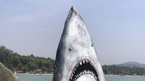 Umetnik  Jimmy Swift  je skalo spremenil v velikega belega morskega psa