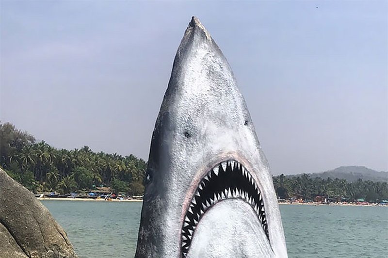 Umetnik  Jimmy Swift  je skalo spremenil v velikega belega morskega psa (foto: Profimedia)