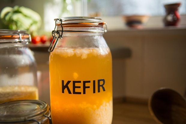 KEFIR Ta naravni probiotik (obstaja tudi veganska različica) odlično vpliva na vaš prebavni sistem, spodbuja razmnoževanje koristnih bakterij in s …