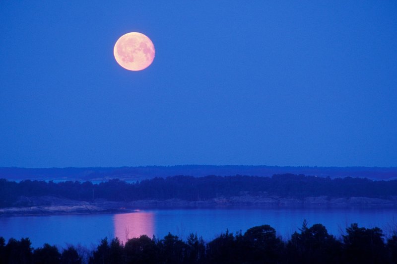 Ali so ljudje res bolj nori ob polni luni? (foto: Profimedia)