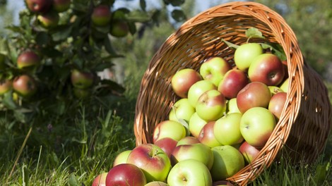 4 pozitivne lastnosti jabolk, ki jih še ne poznate
