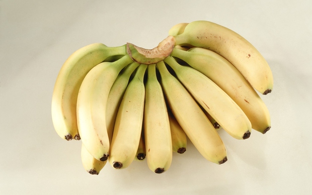 Banane Banane sicer vsebujejo več kalorij in sladkorjev kot drugo sadje, a to ne pomeni, da je to slabo. Prav …